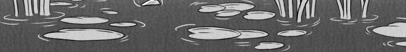 Image 2 Cut