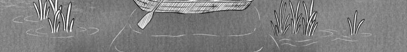 Image 2 Cut