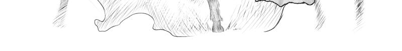 Image 2 Cut