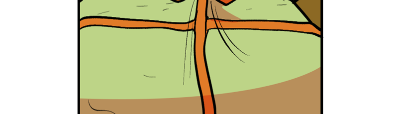 Image 2 Cut