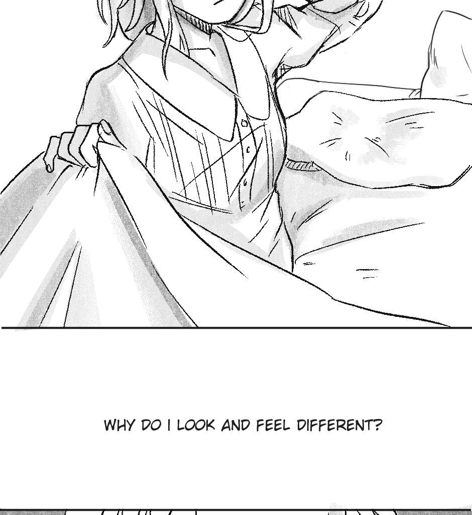 Image 5 Cut