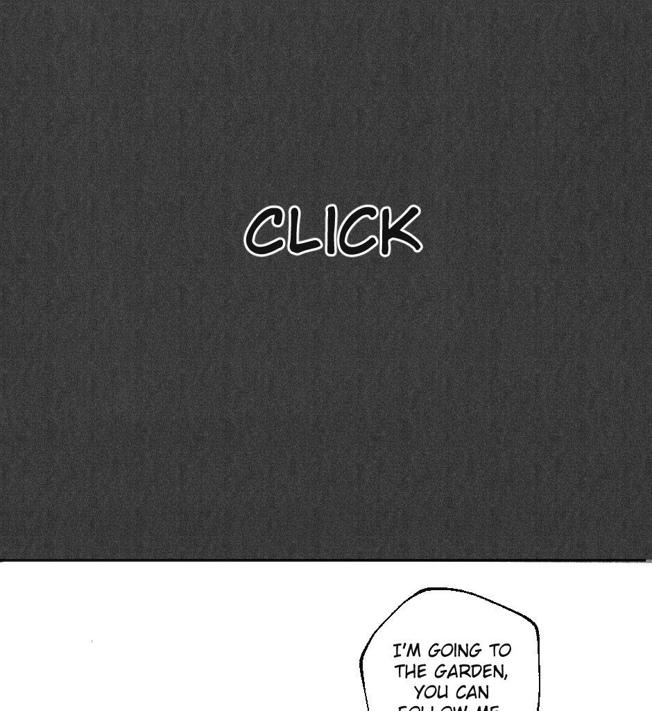 Image 41 Cut