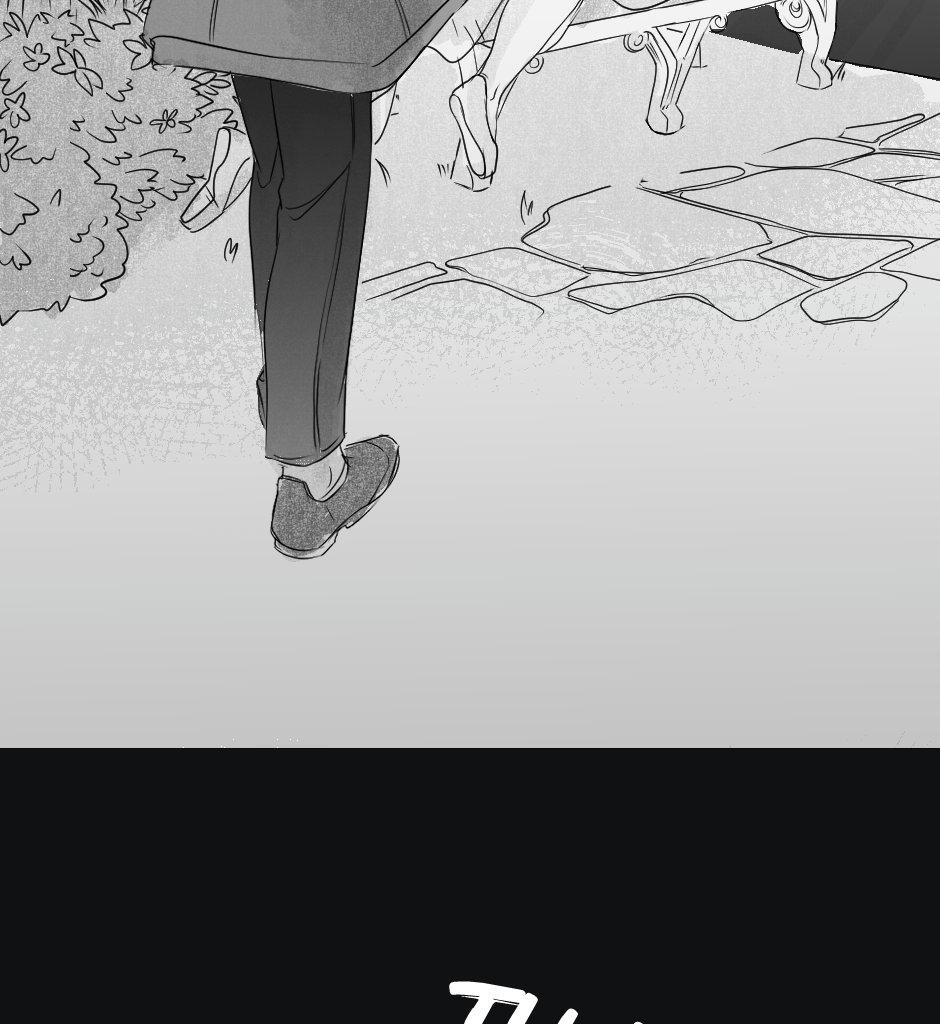 Image 3 Cut