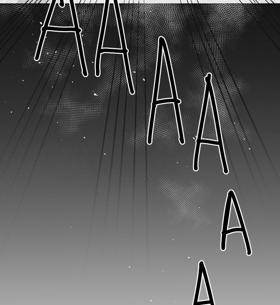 Image 33 Cut