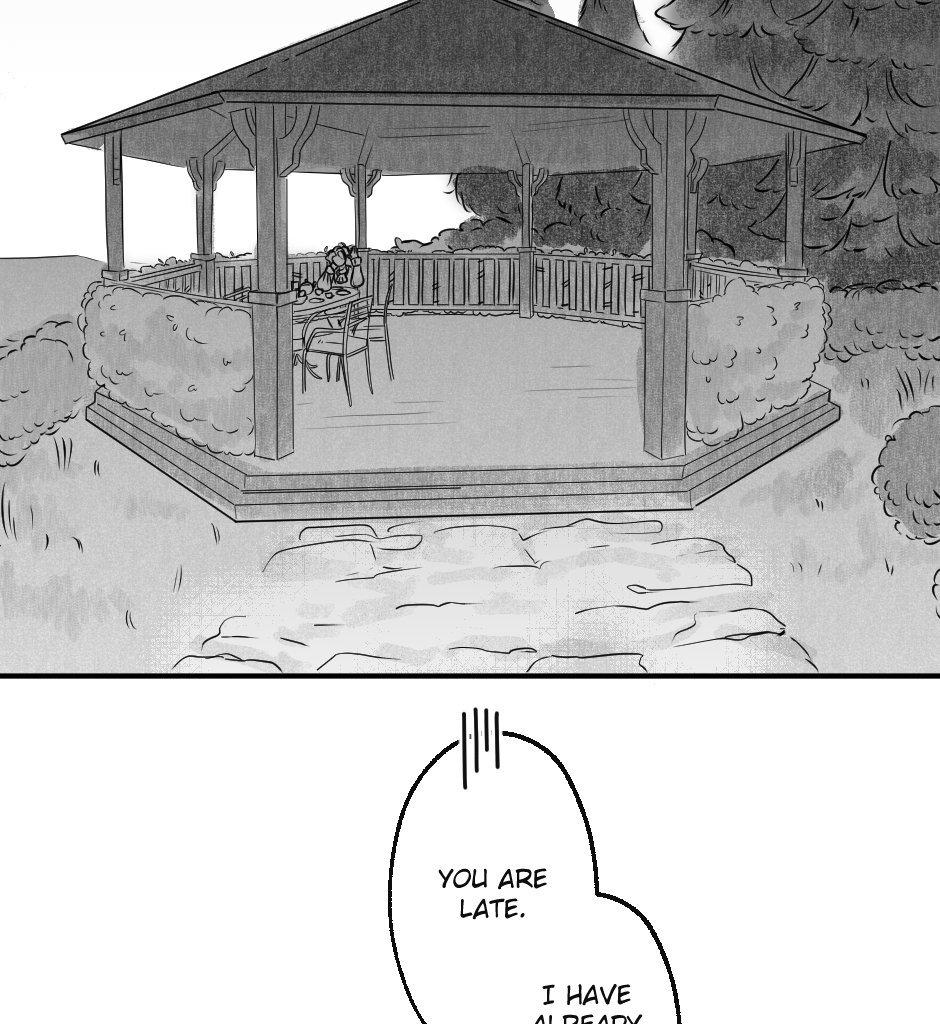Image 34 Cut