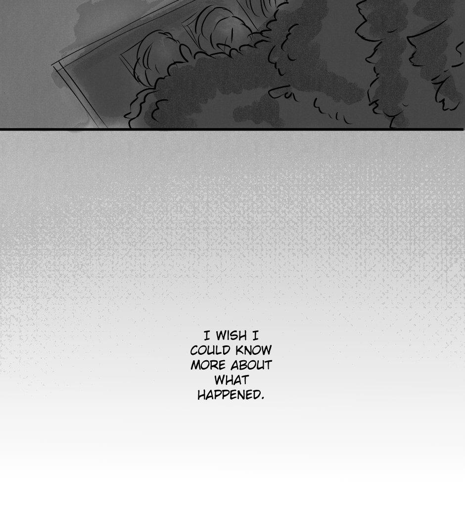 Image 39 Cut