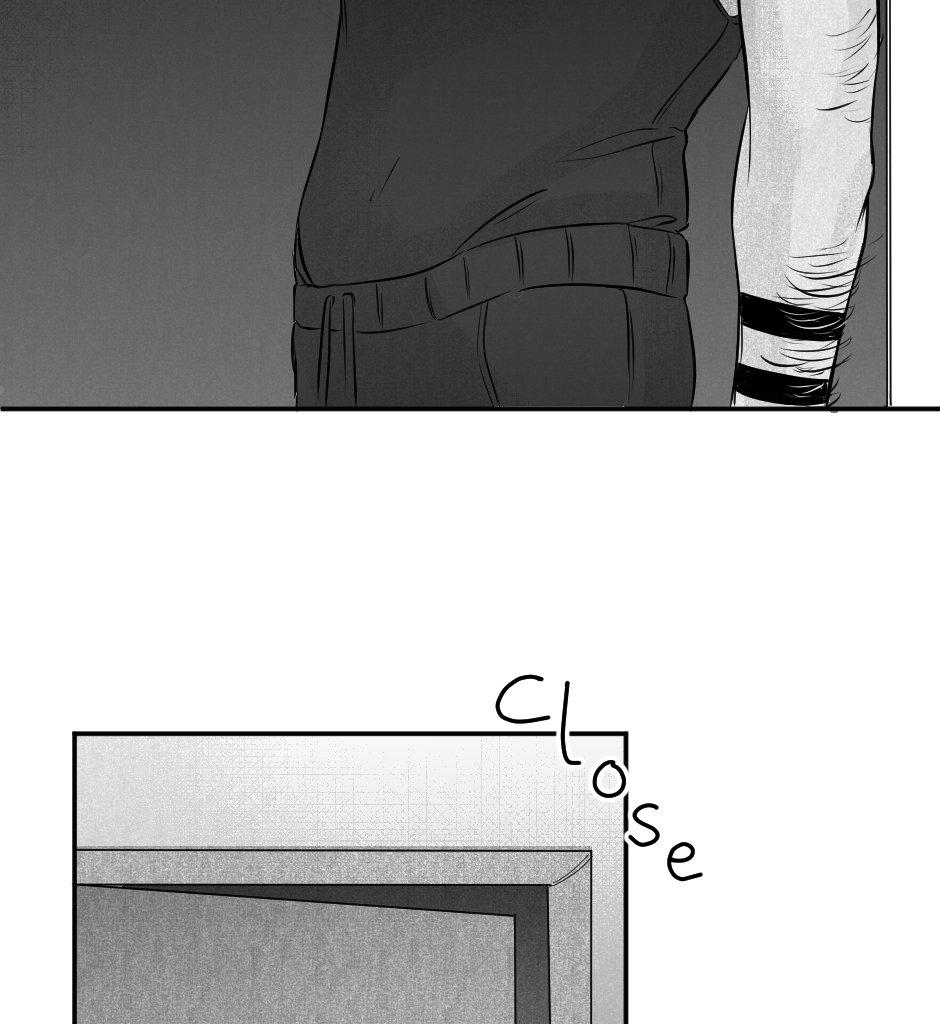 Image 5 Cut
