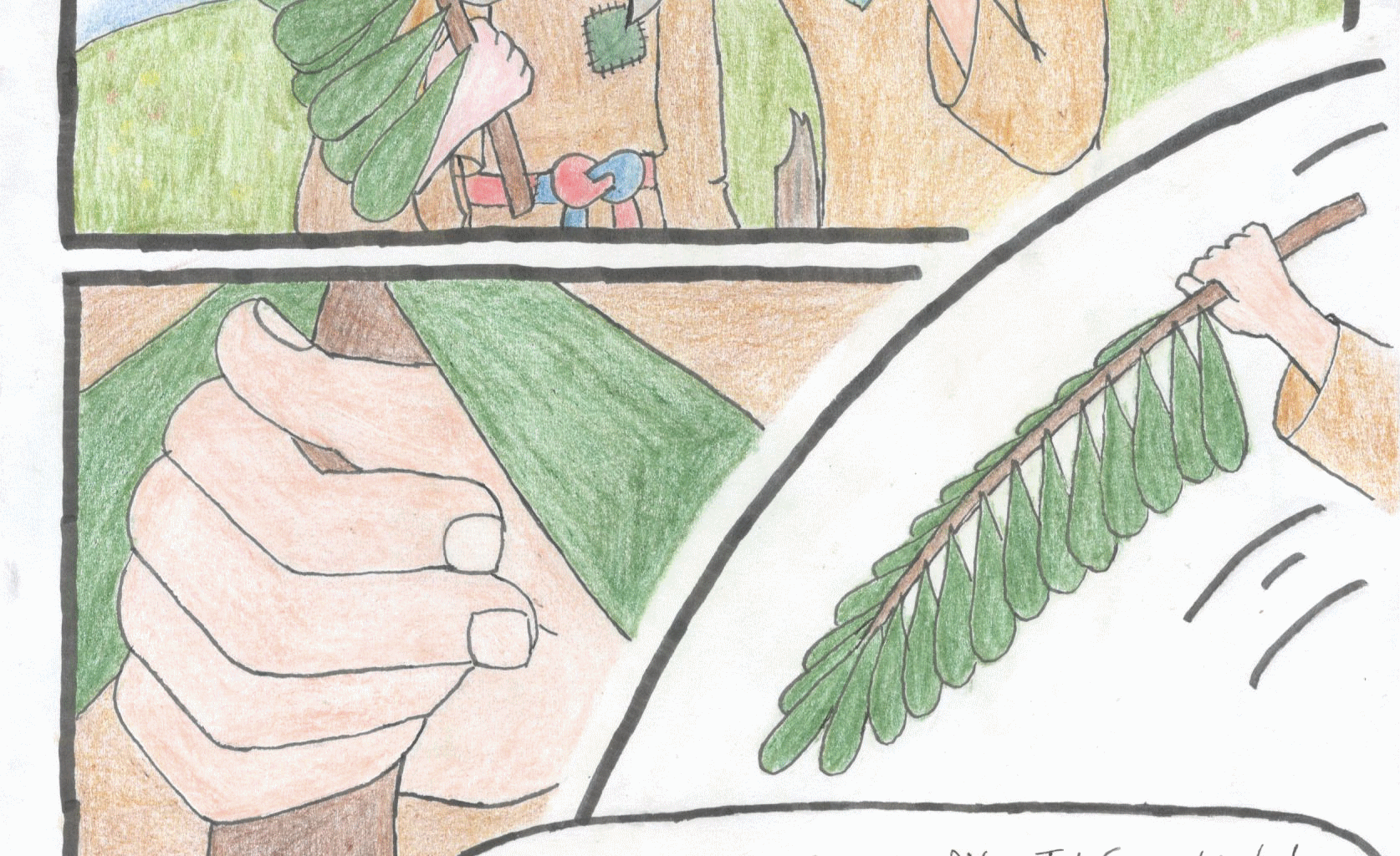 Image 2 Cut