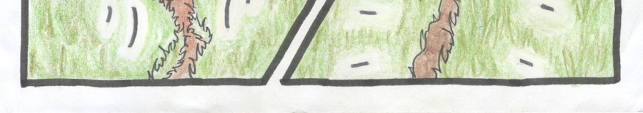 Image 2 Cut