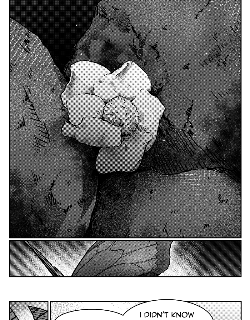 Image 5 Cut