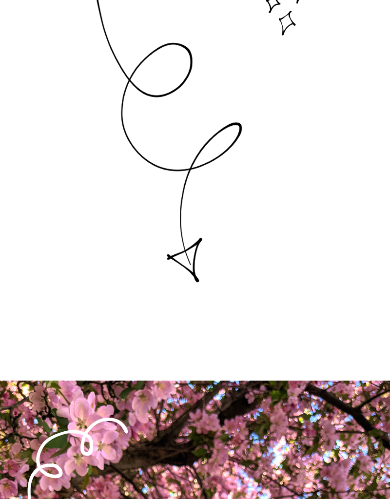 Image 3 Cut