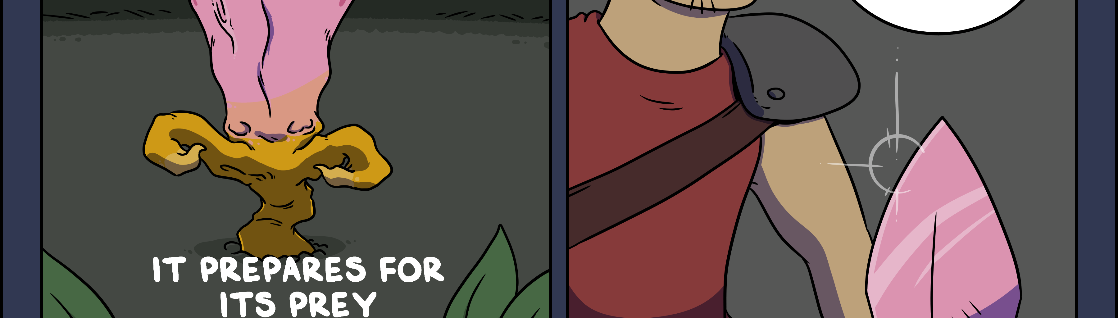 Image 4 Cut