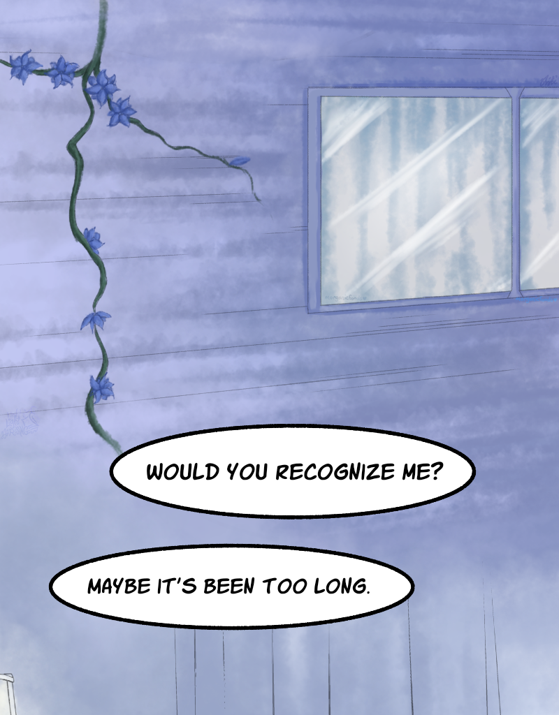 Image 4 Cut