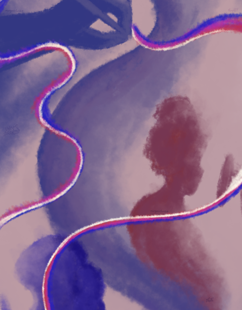 Image 5 Cut
