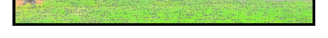 Image 4 Cut