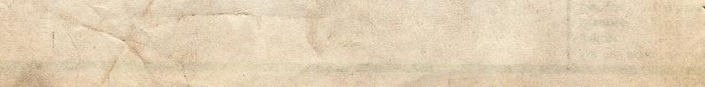 Image 2 Cut