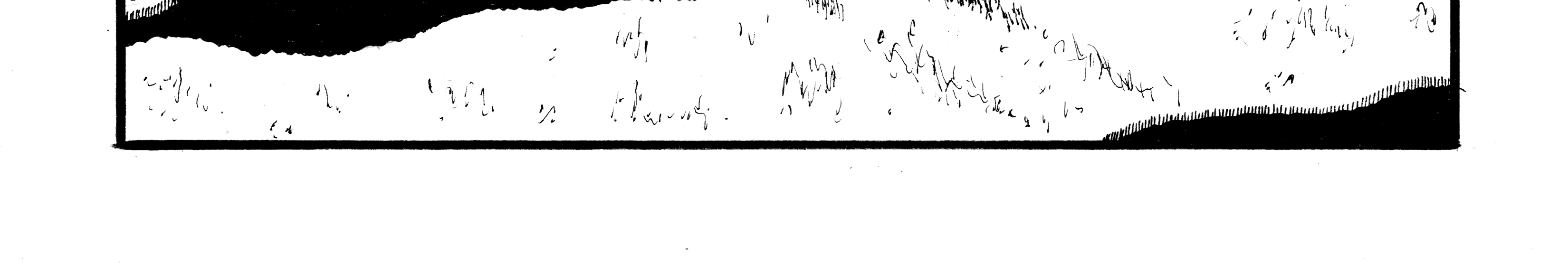 Image 5 Cut