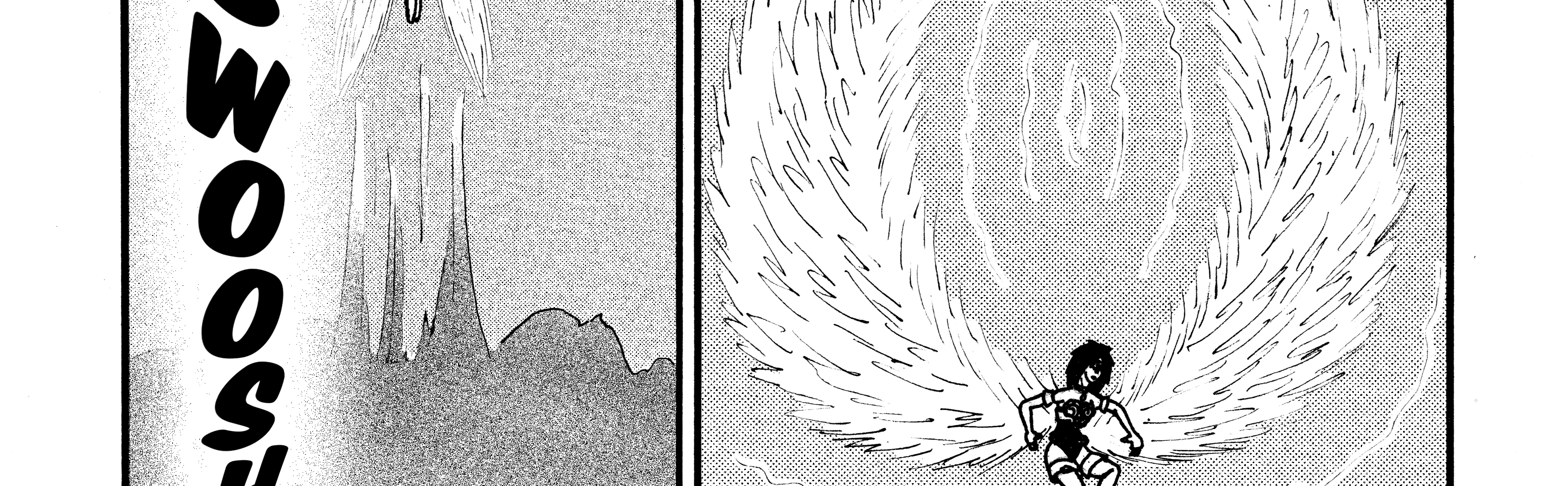 Image 2 Cut