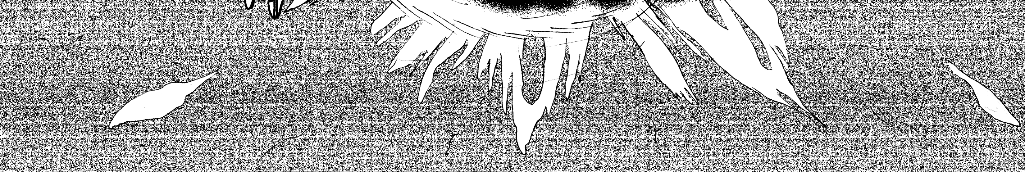 Image 5 Cut