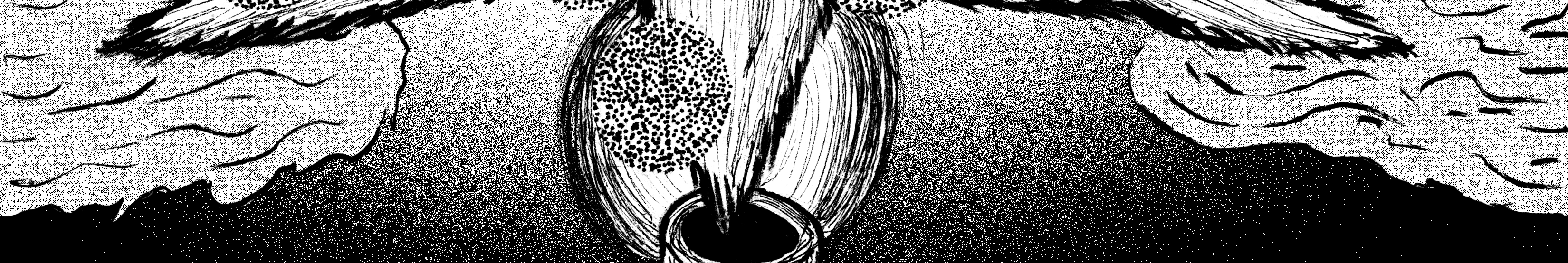 Image 5 Cut