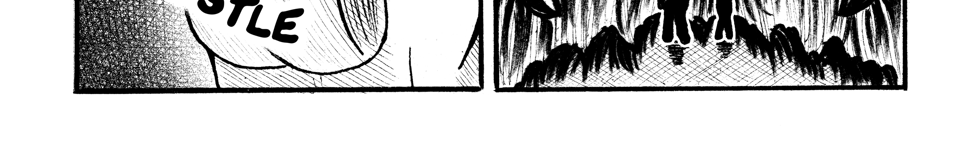 Image 5 Cut
