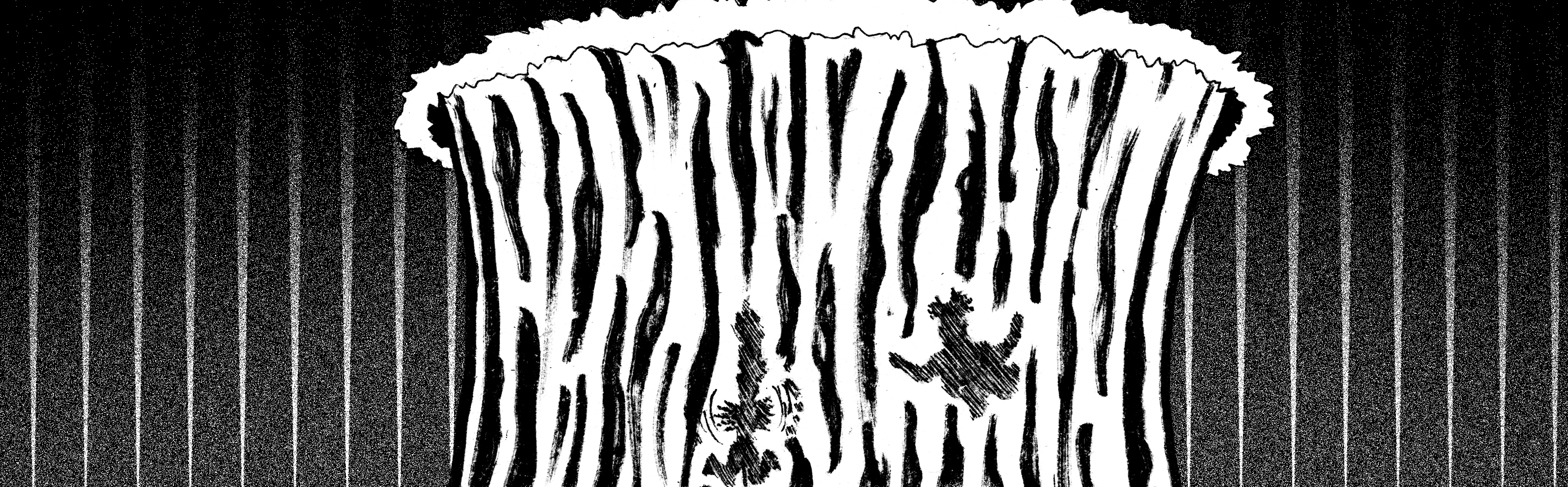 Image 1 Cut