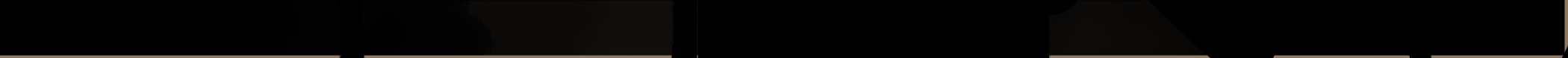 Image 4 Cut