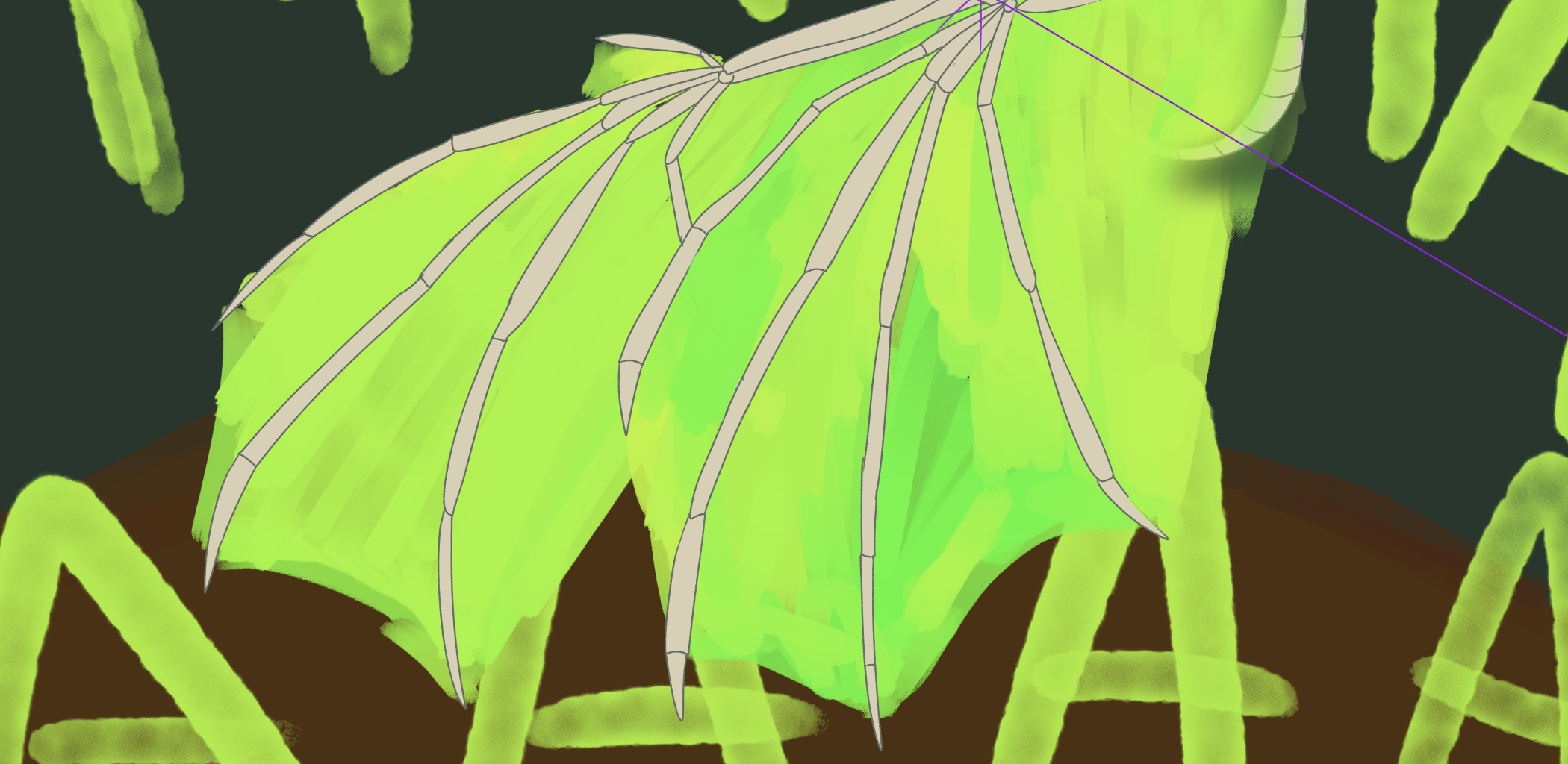 Image 3 Cut
