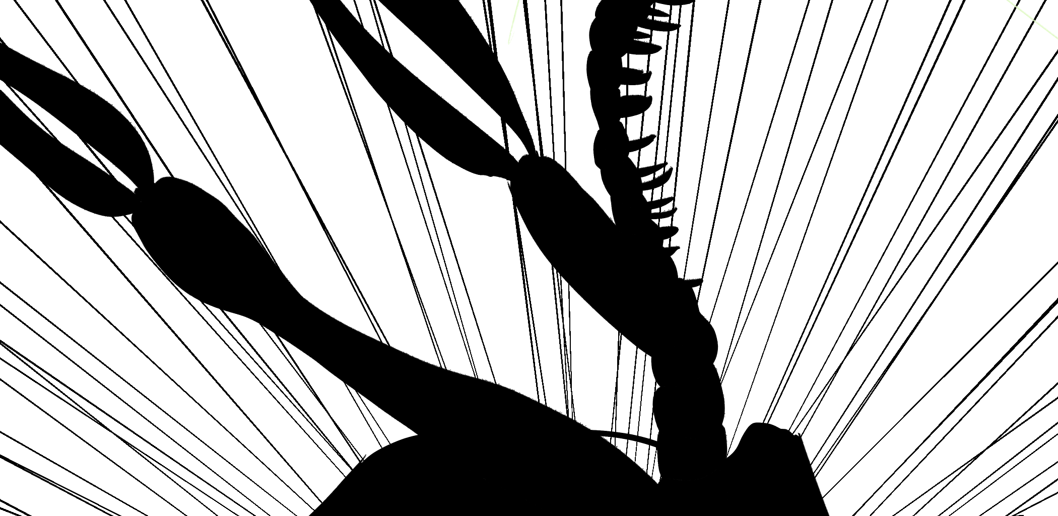 Image 2 Cut