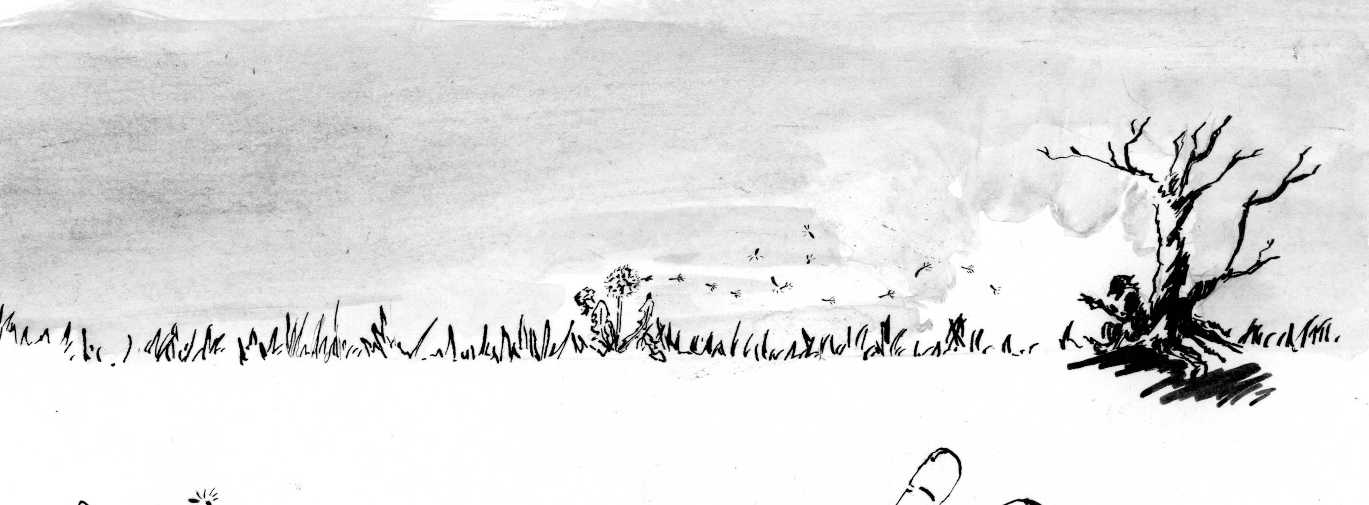 Image 1 Cut
