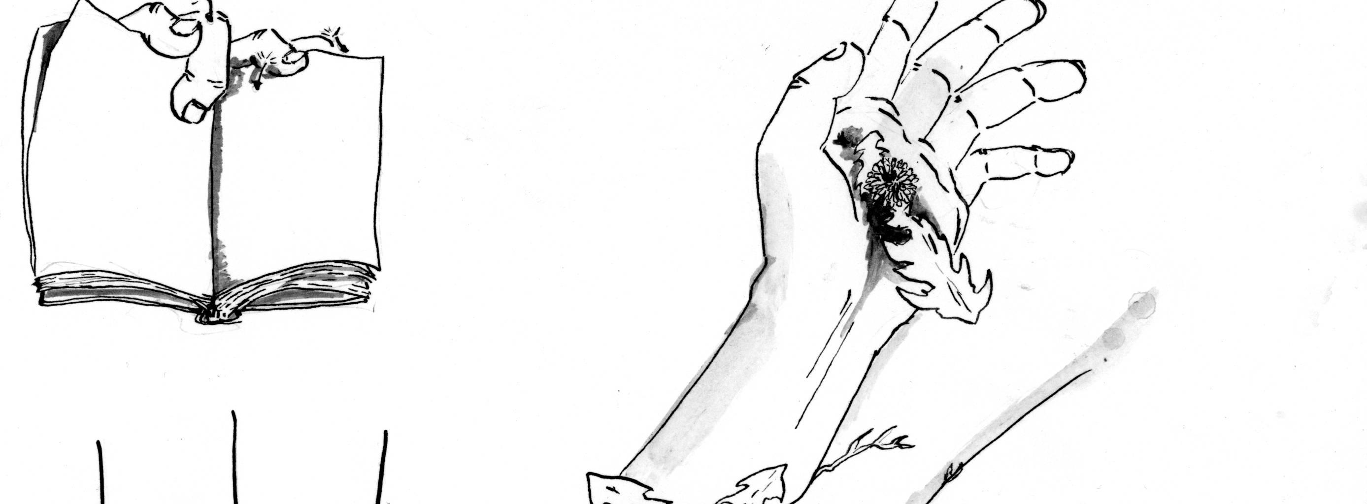 Image 2 Cut