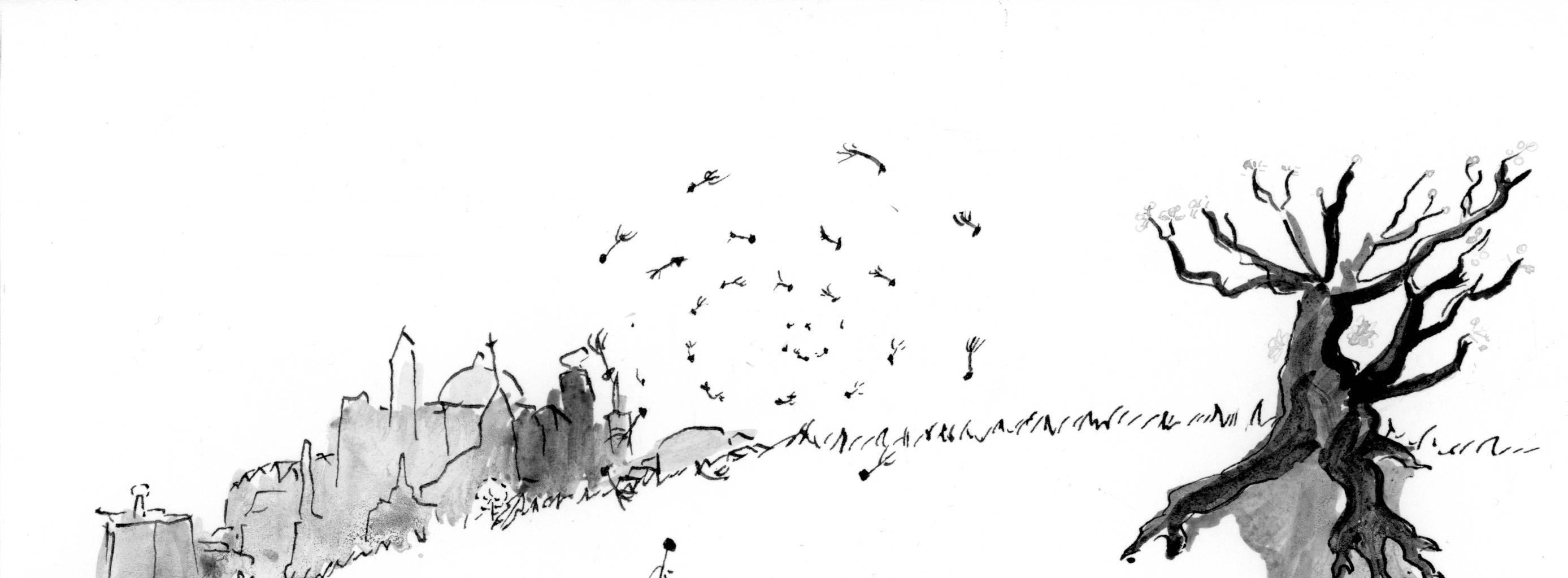 Image 1 Cut