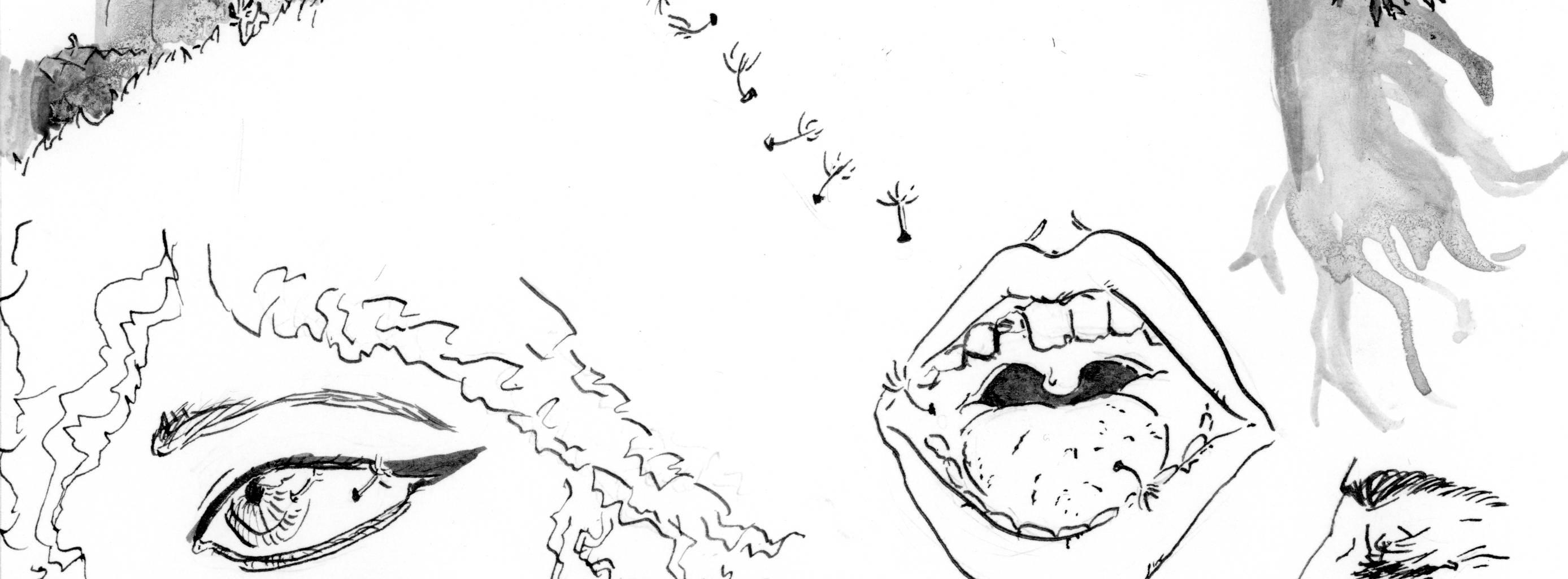 Image 2 Cut