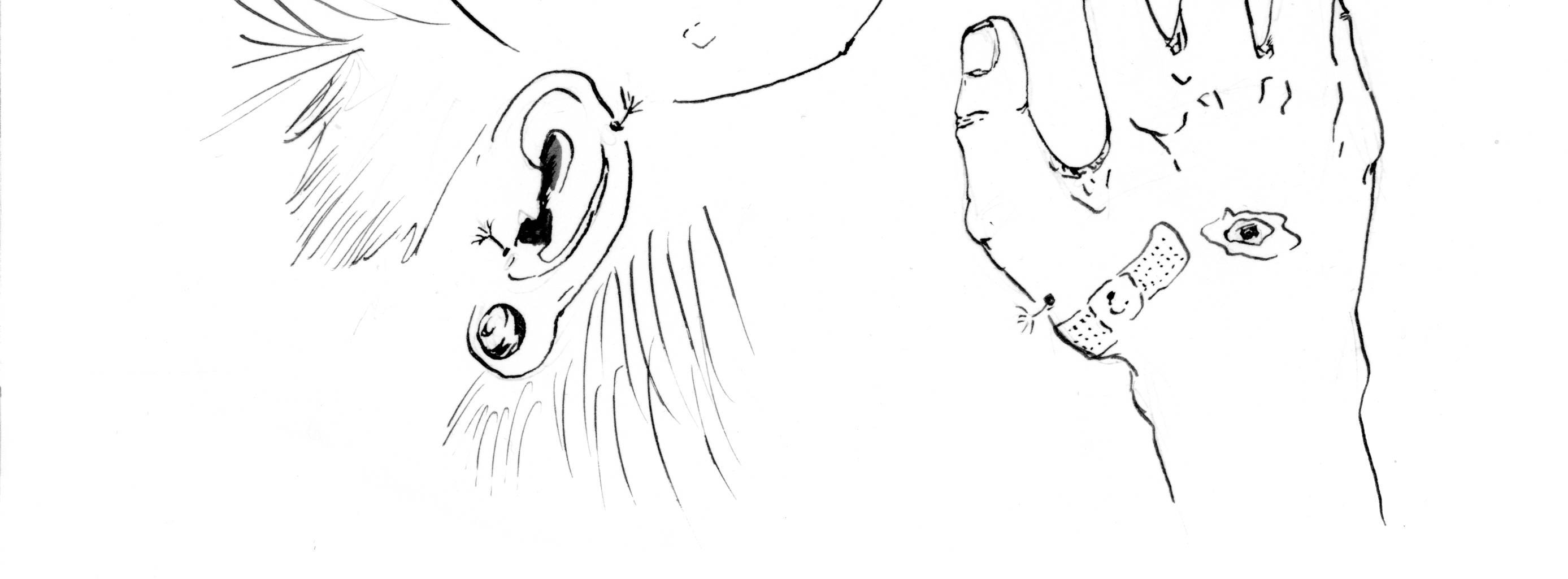 Image 4 Cut
