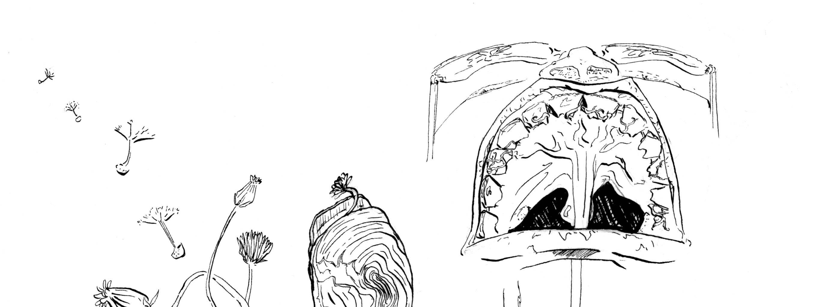 Image 1 Cut