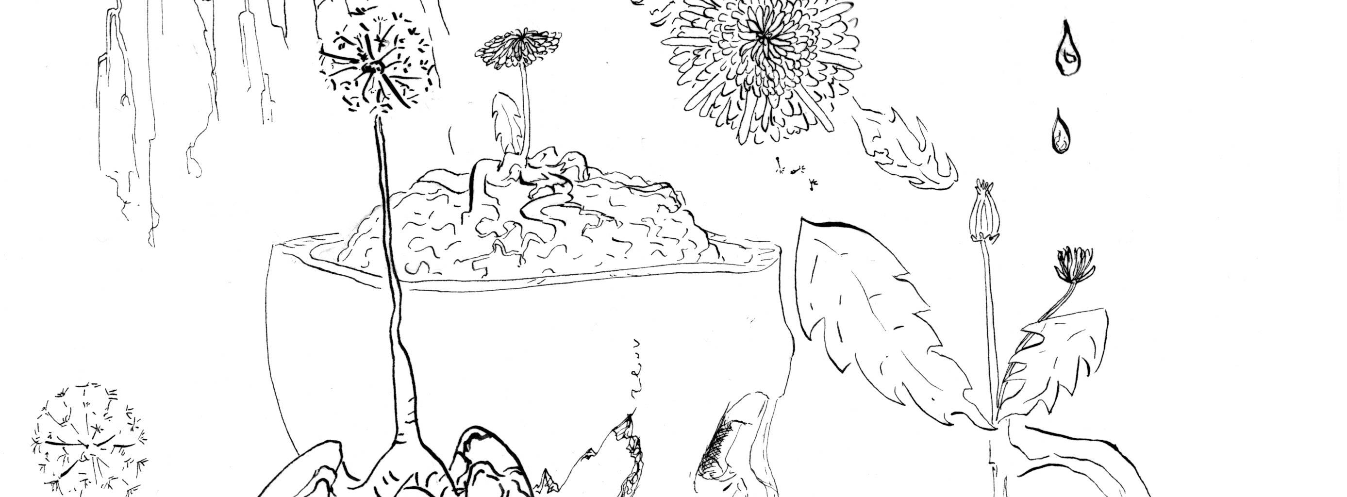 Image 3 Cut