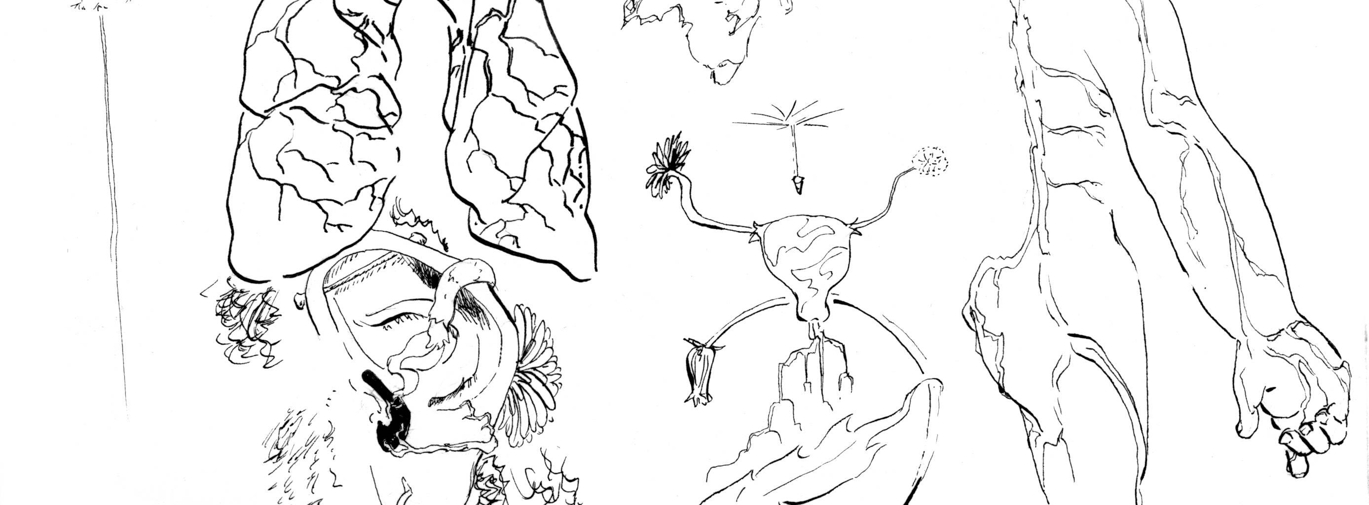 Image 4 Cut