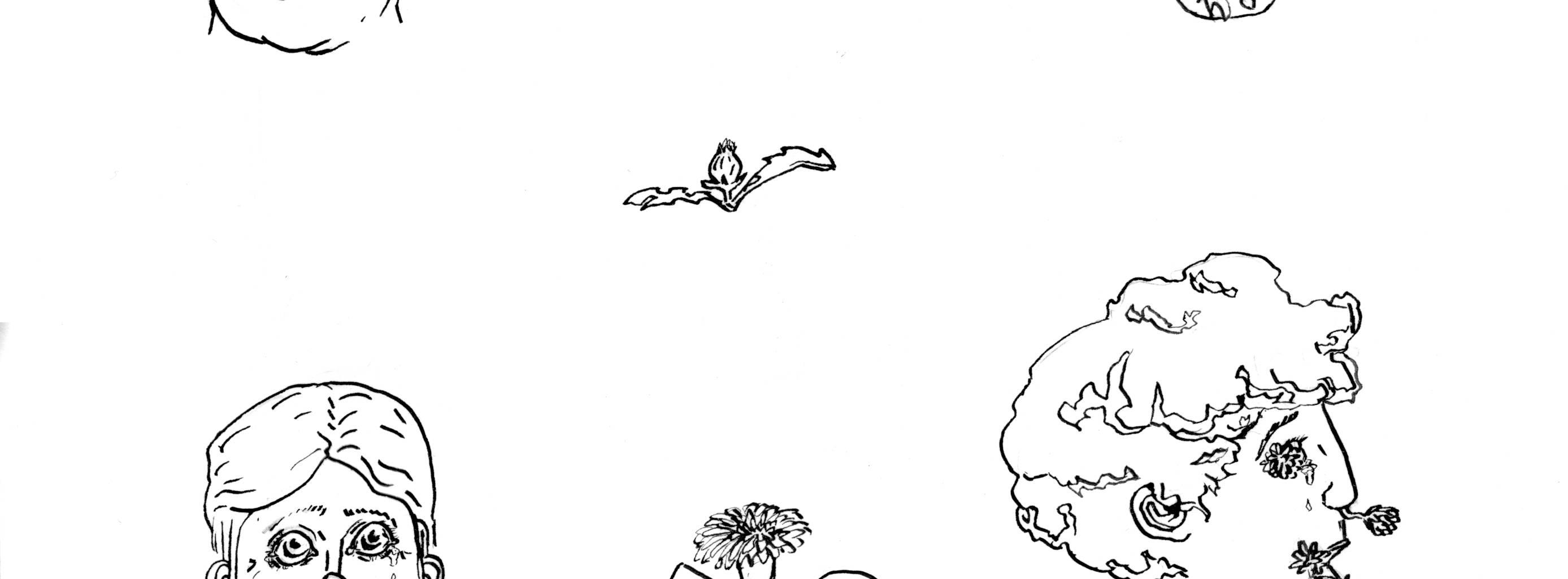 Image 2 Cut