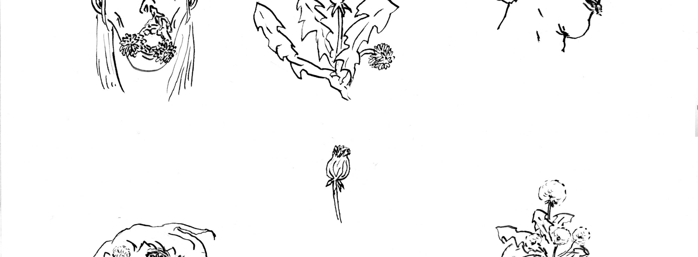 Image 3 Cut