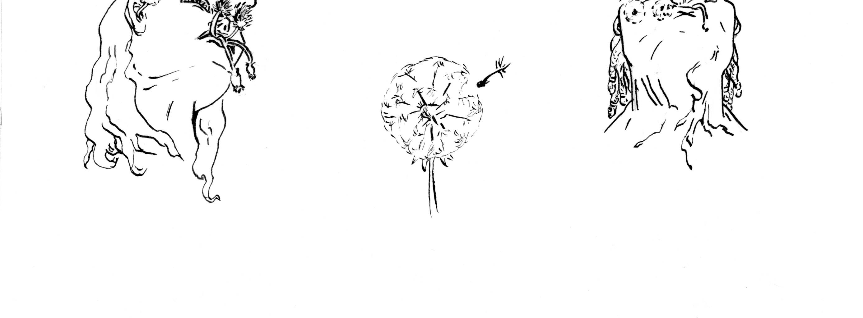 Image 4 Cut