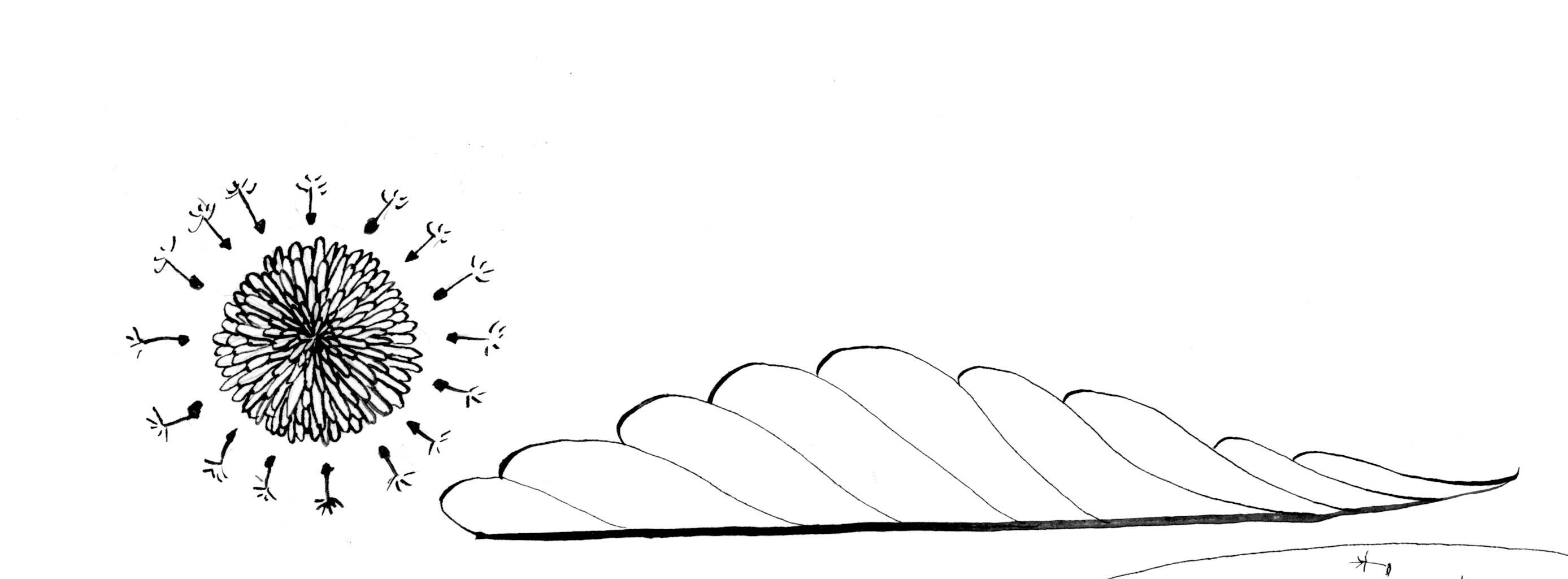 Image 1 Cut