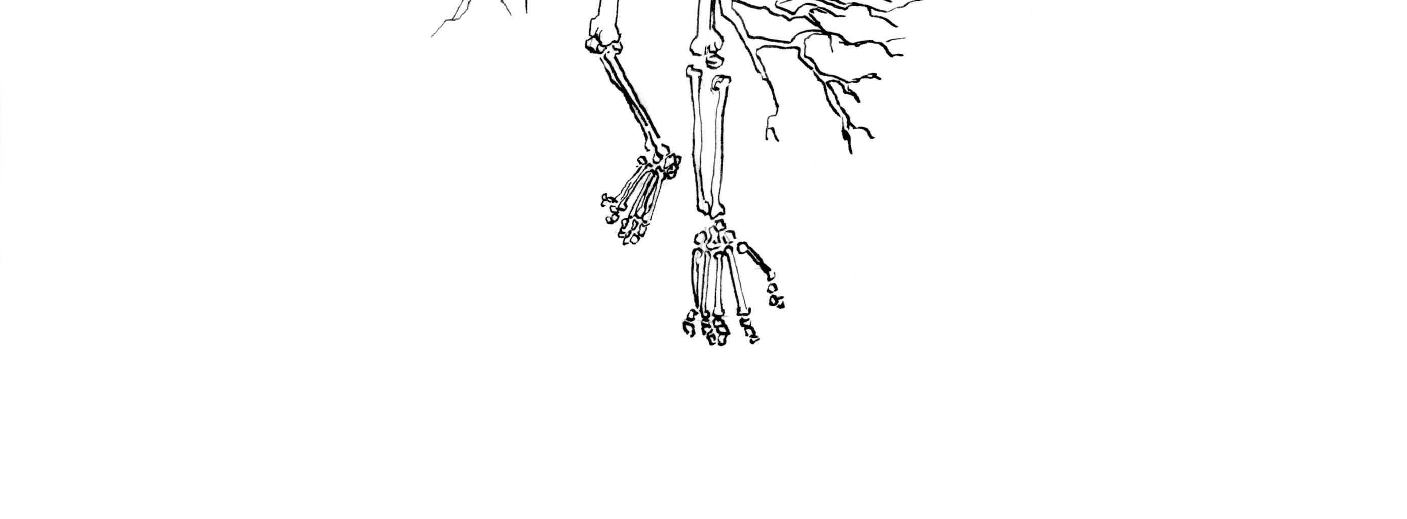 Image 4 Cut