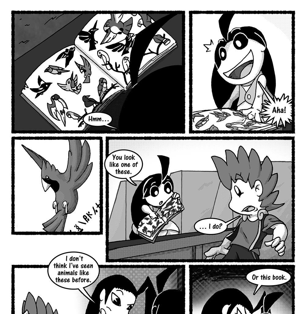 Image 1 Cut