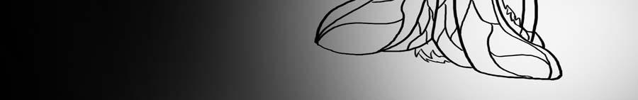 Image 2 Cut