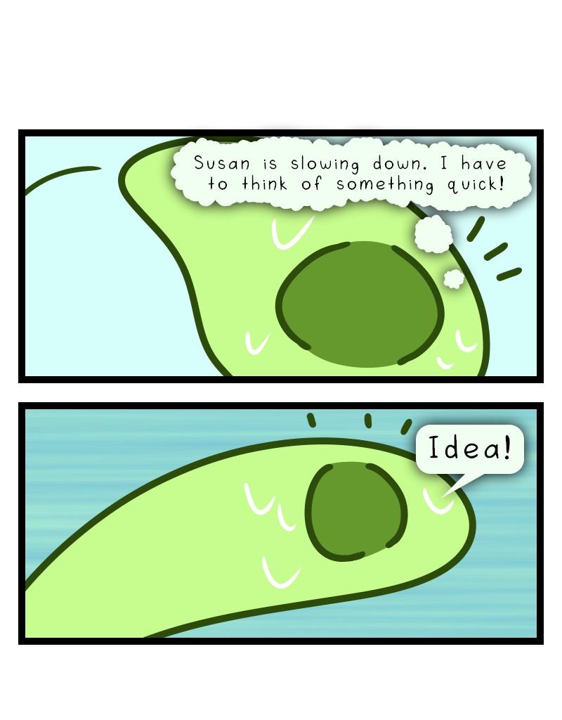 Image 4 Cut