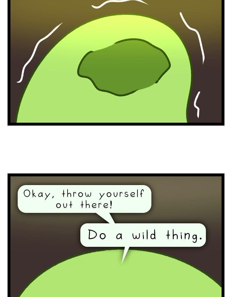 Image 15 Cut