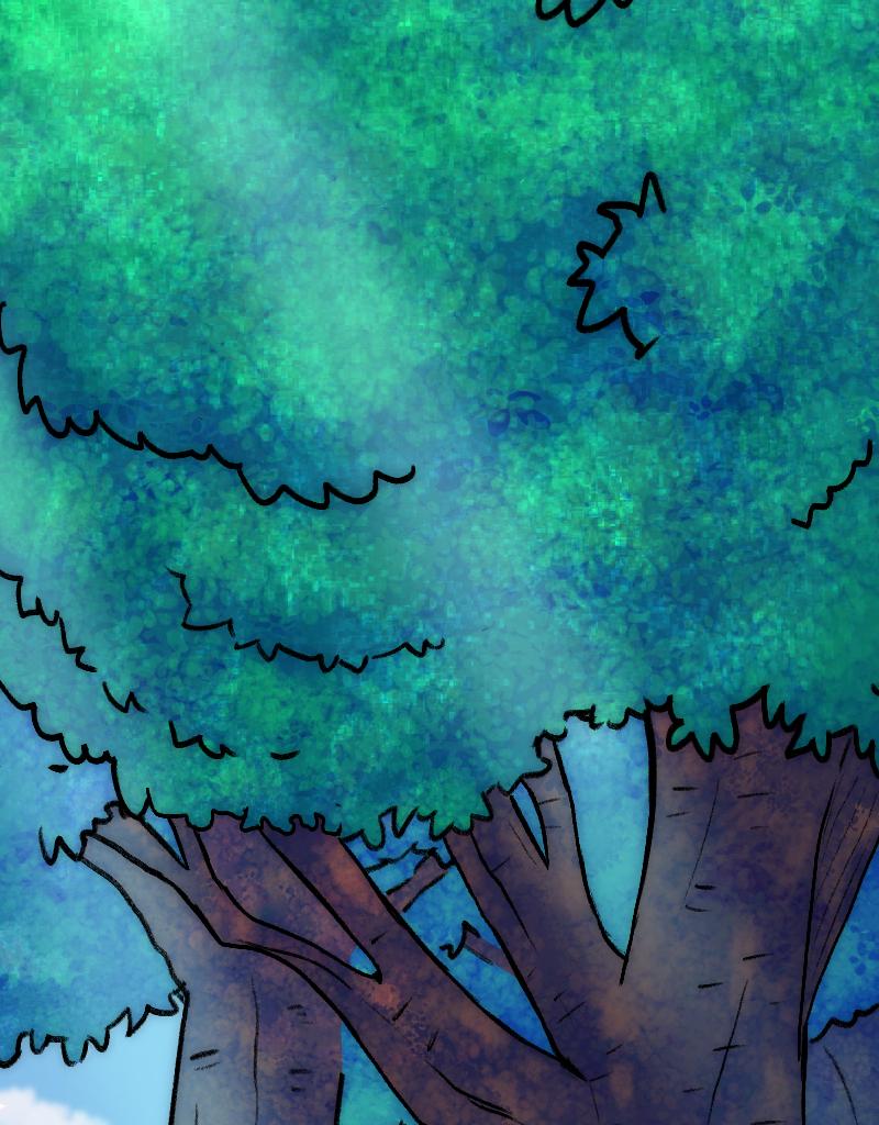 Image 5 Cut
