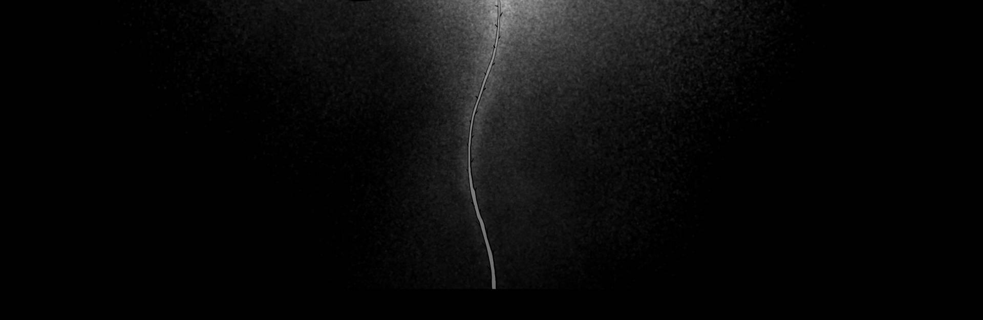 Image 3 Cut