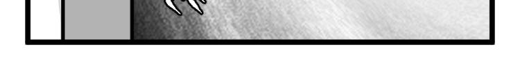 Image 2 Cut