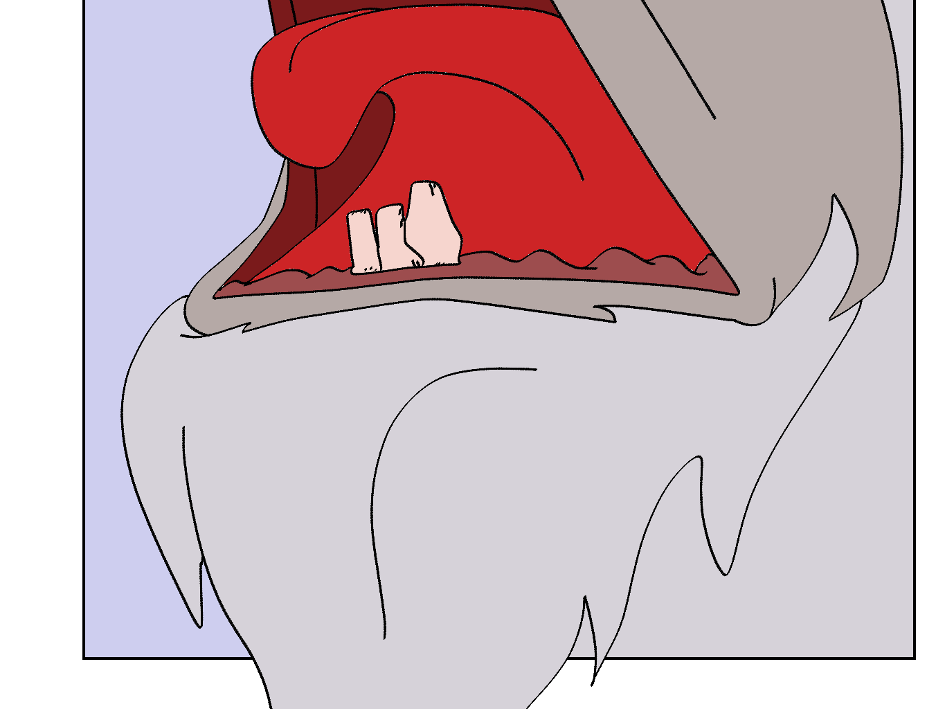 Image 2 Cut